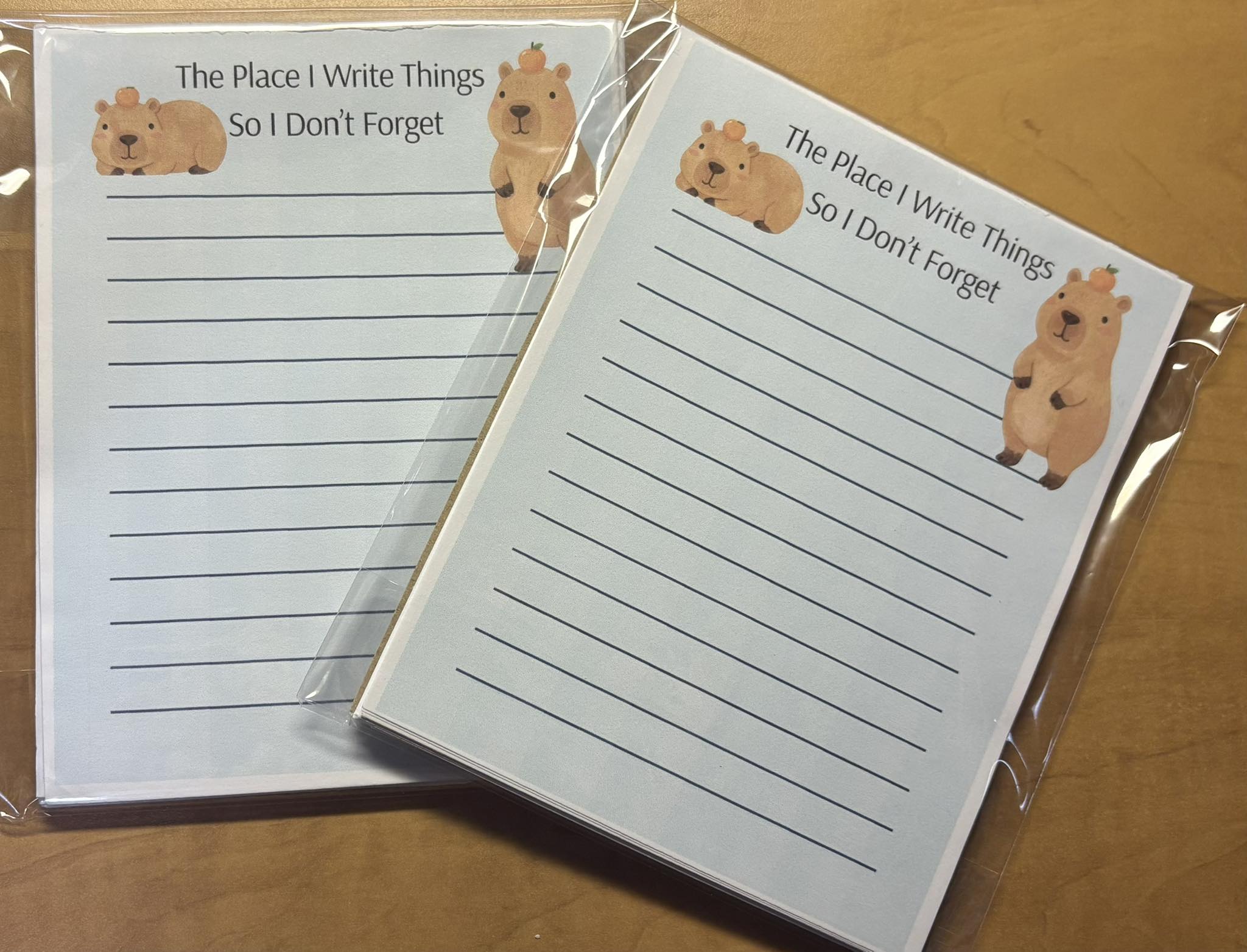 Capybara Custom Medium Size Notepads